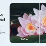 Blurry image to high quality android app free download, Blurry image to high quality android app free, Blurry image to high quality android app download, Blurry image to high quality android app apk, free app to fix blurry photos, remini, how to make blurry pictures clear app, best app to fix blurry pictures,